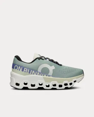 Cloudmonster 2 Mineral / Aloe Running Shoes