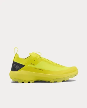 Vertex Alpine GTX  Euphoria / Graphite Running Shoes