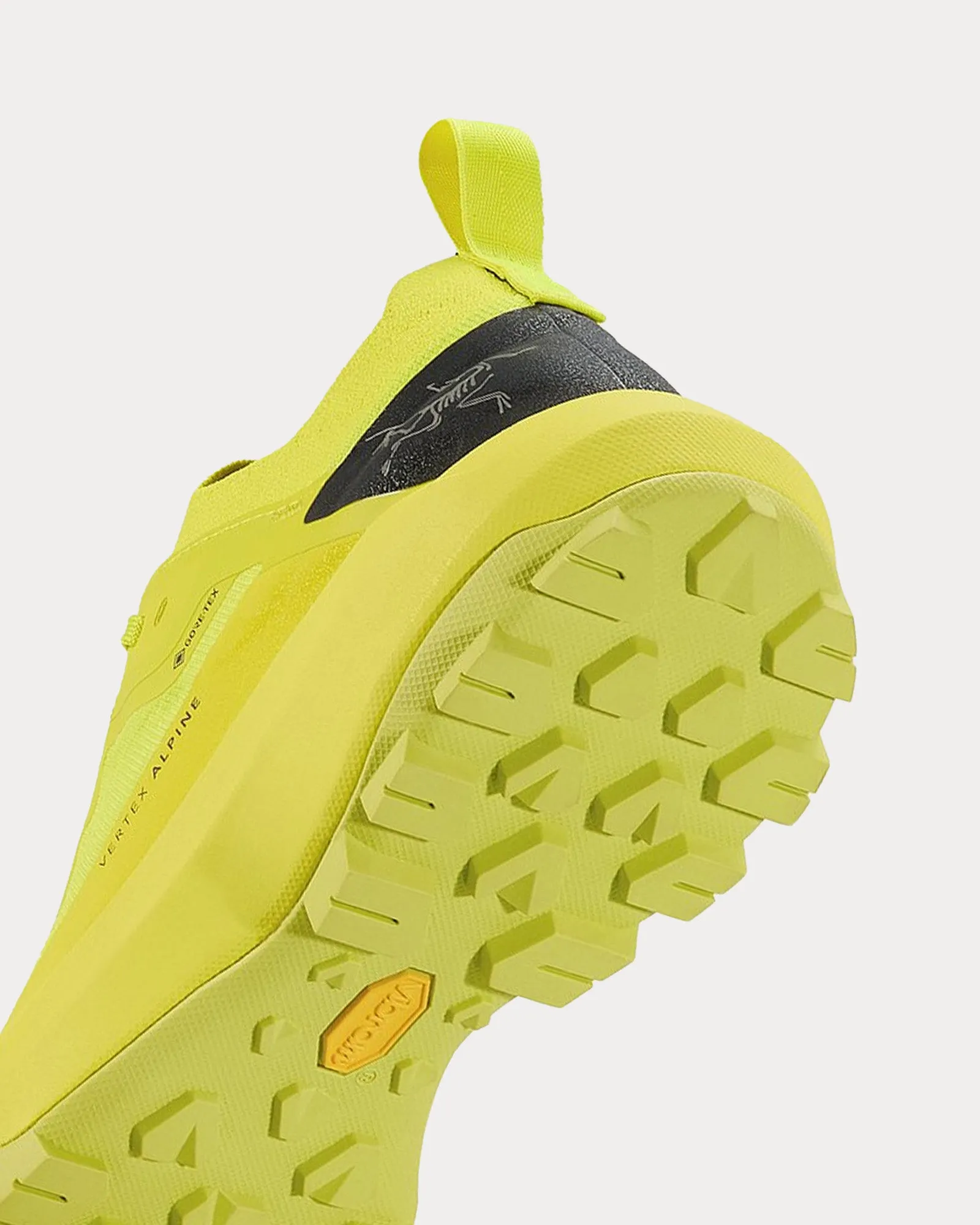 Vertex Alpine GTX  Euphoria / Graphite Running Shoes