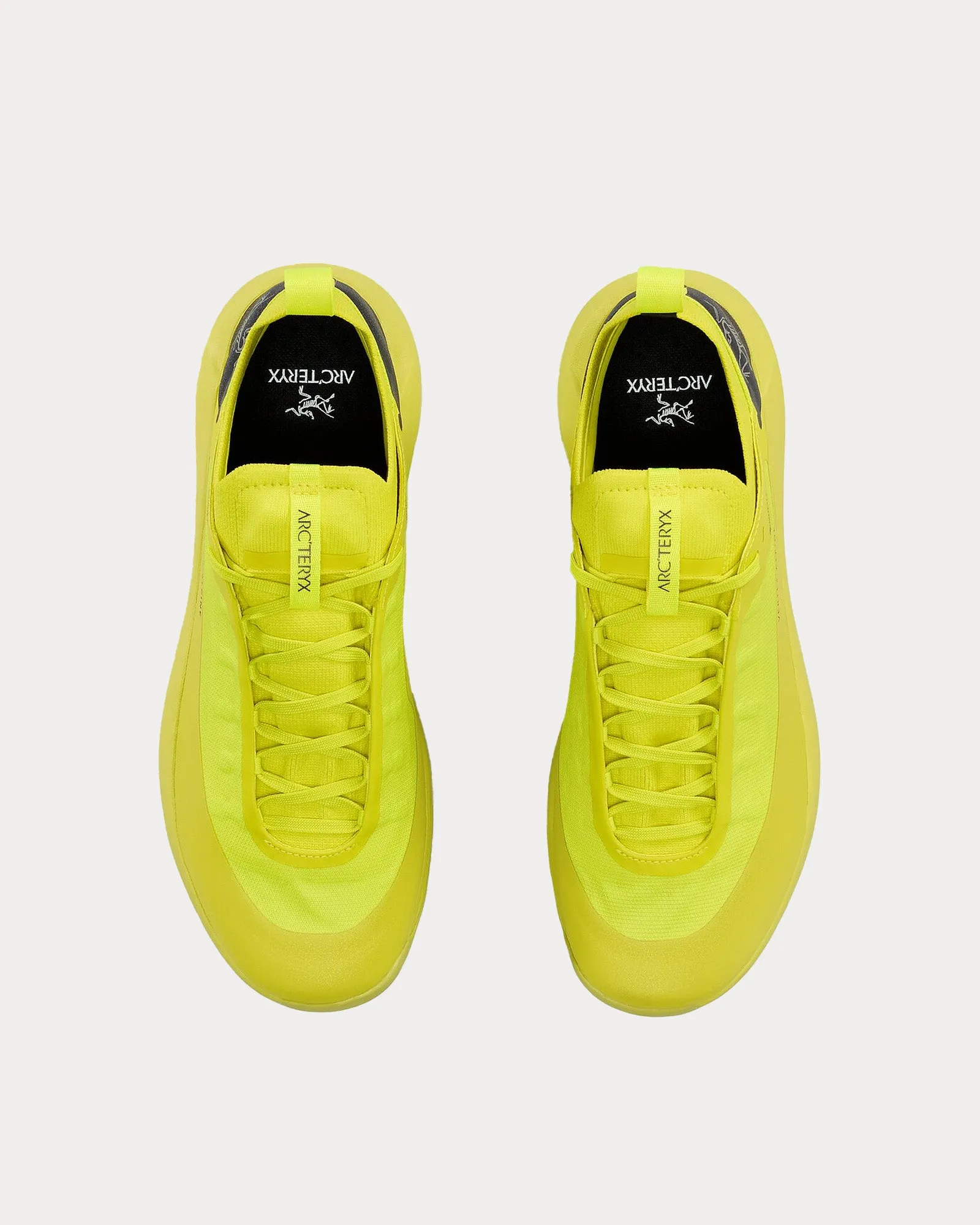 Vertex Alpine GTX  Euphoria / Graphite Running Shoes